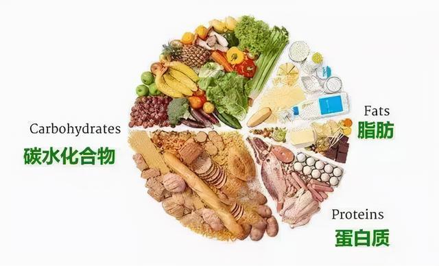 人体所需的健康要素