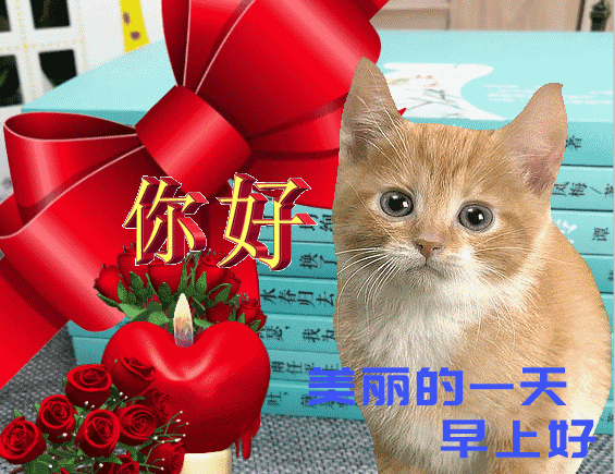 珍惜当下，恬淡随意地生活，便是浅浅的快乐，早安