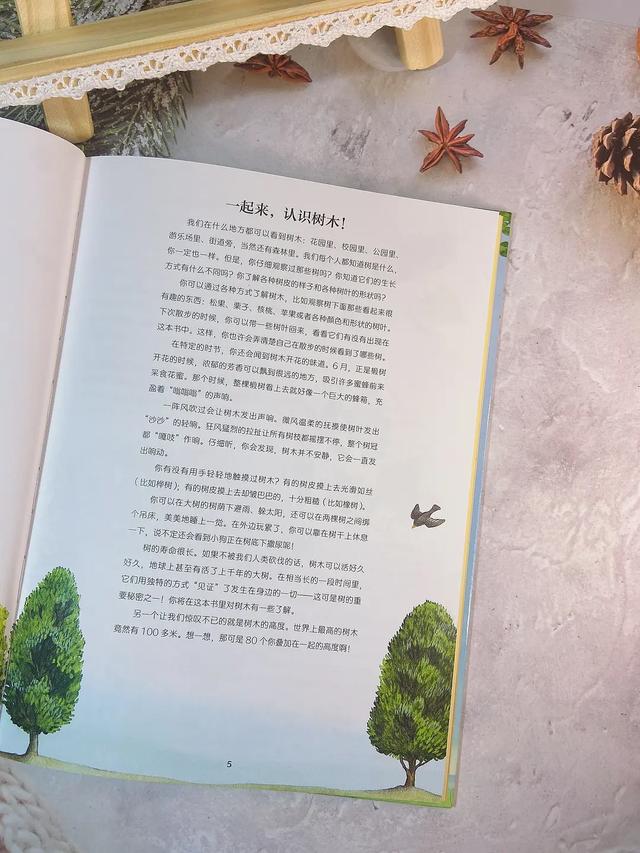桦树叶治疗脚臭？椴树花茶能治感冒？这本自然科普绘本简直太棒了