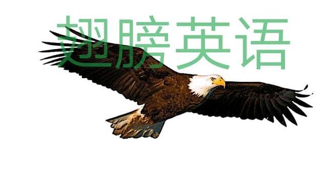 外企口语常用英语表达和邮件高频句型