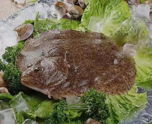 吃多宝鱼原来有这么多好处