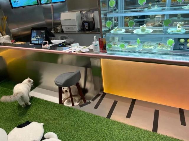 50台小型咖一年盈利(咖啡店利润大概是多少) 第3张