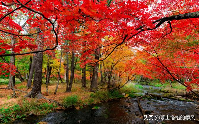 中國秋天最美的10處紅葉 你都知道在哪裡嗎 Kks資訊網