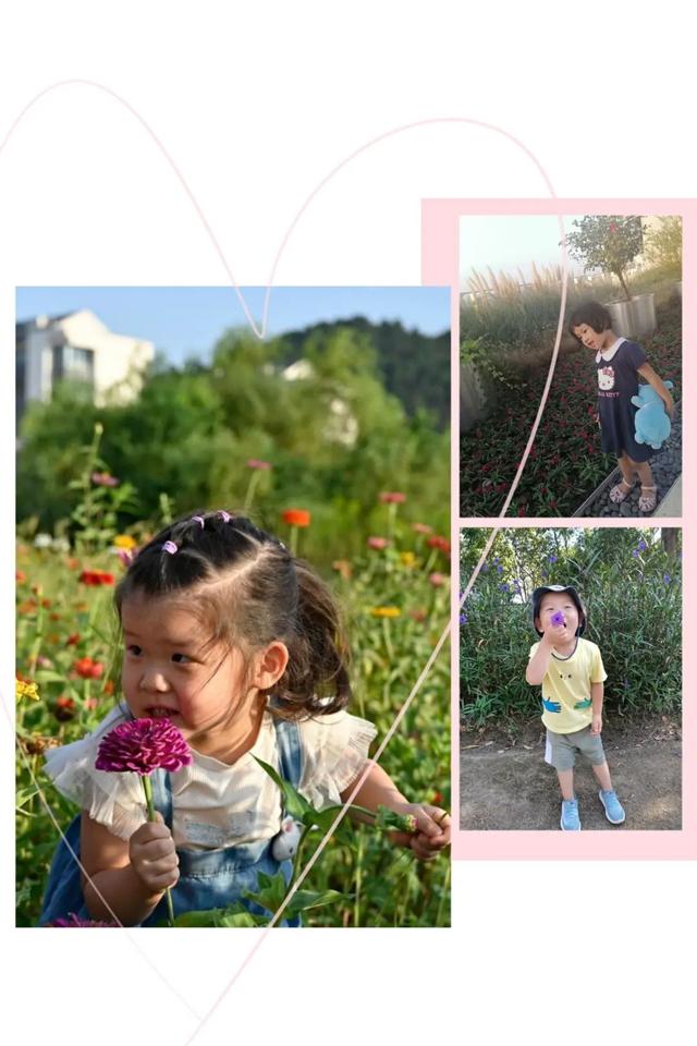寻花之旅——友联幼儿园小班幼儿《花儿朵朵开》班本课题