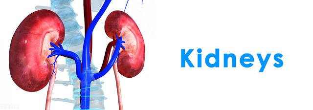 喝水太多，是不是对肾脏有损伤？喝水不伤身，给您4点建议