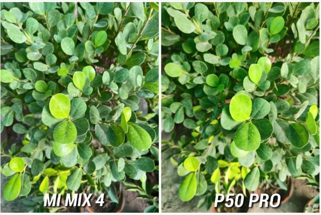 5000万与1亿像素之间的绞杀！华为P50Pro和小米MIX4实拍差距明显