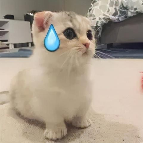 秋冬怕冷，手脚冰凉的人注意了！4个简单方法助你“暖”起来