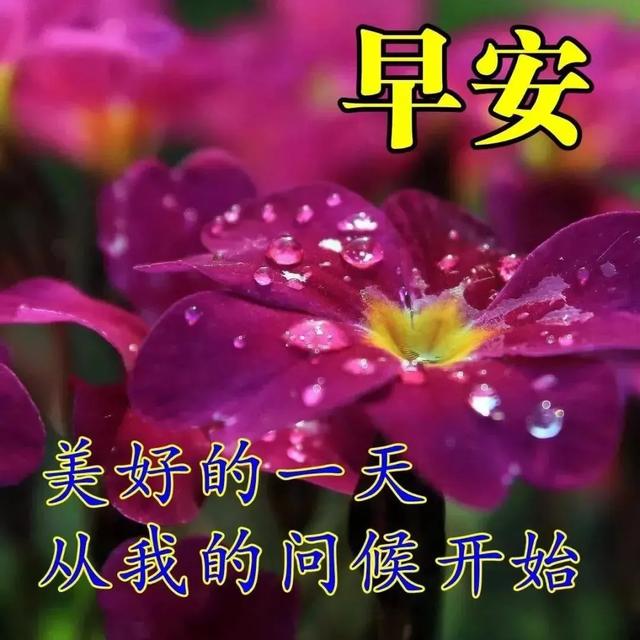 https://www.meipian.cn/55ycnzw8