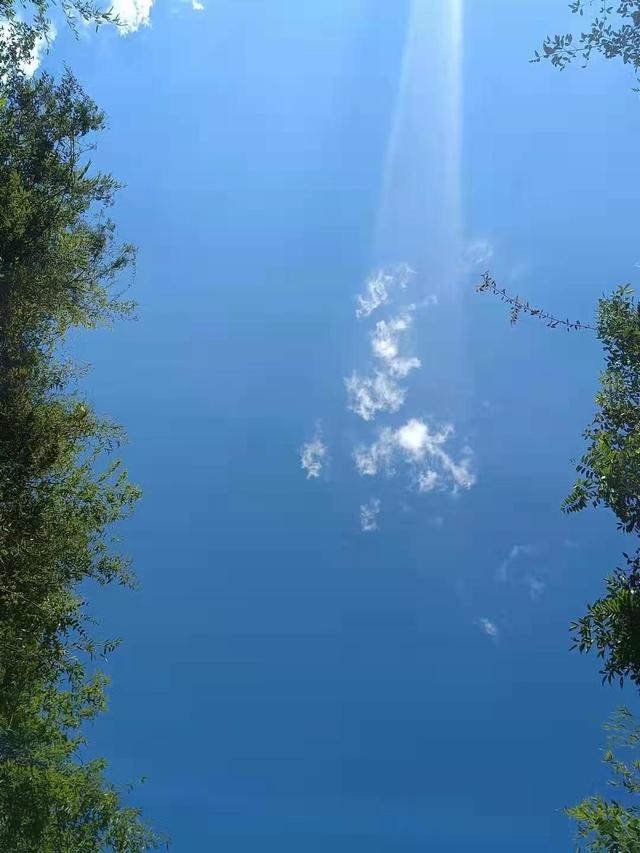 顽固的孕产妇足跟痛——有一种骨盆错位叫骶髂关节前后分离