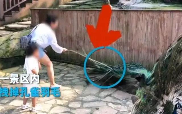 有这4种妈妈，是孩子的福气