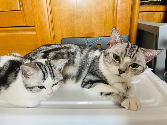 自己整理的冬季待产包，分享给各位准妈妈们