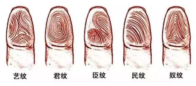 算命说斗性是什么意思