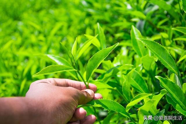 中秋送礼有讲究，除了月饼外，记住“5送5不送”，全家幸福乐呵呵
