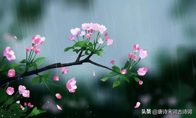 40首谷雨诗词，人间暮春，雨落情长