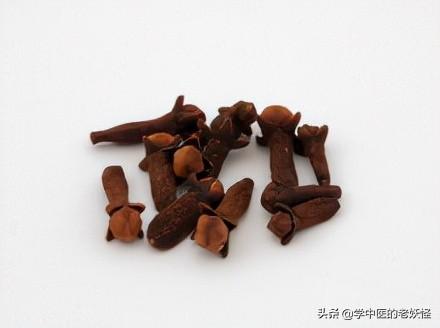 每日一中药——丁香