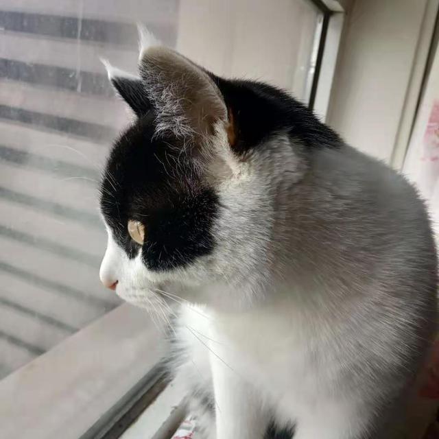 趣笔谈