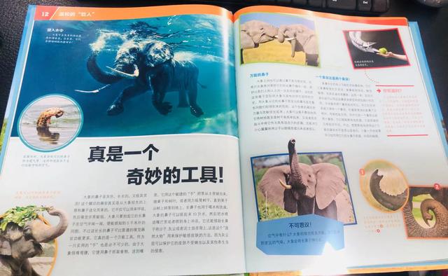 书评 |《什么是什么珍藏版》：了不起的德国少年儿童百科知识全书