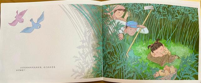 每天一本亲子共读绘本推荐004《仙草青蒿》