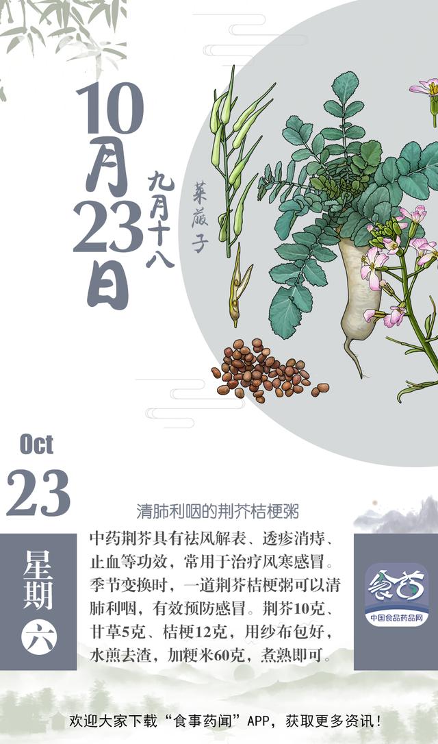 早安小科普——清肺利咽的荆芥桔梗粥