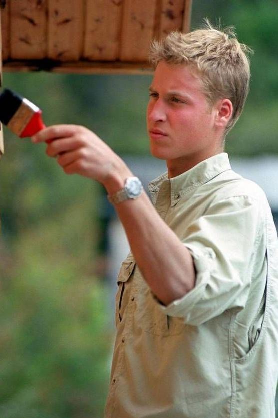 最性感秃顶男人不愧是全英最想嫁的男人,威廉王子年轻时帅气如戴安娜