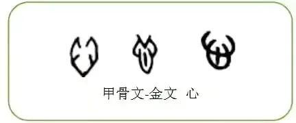 五脏属五行——臆测之玄学，严谨之科学？