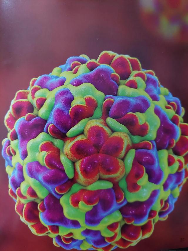 请教孩子拿起机关枪，狂扫秋冬流行病毒病菌