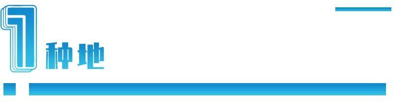 中国在非洲种地，美国为什么急了？