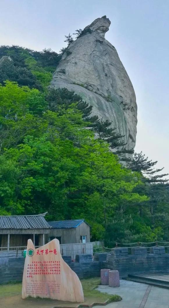 龟峰风景名胜区 以 无山不龟 无石不龟 的景观著称于世 全网搜