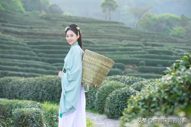 关于夏天的古诗句子（古人的夏天是怎么度过）