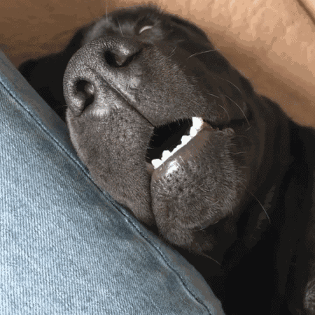 张口呼吸会长歪,用"闭嘴贴"?医生:胡来!