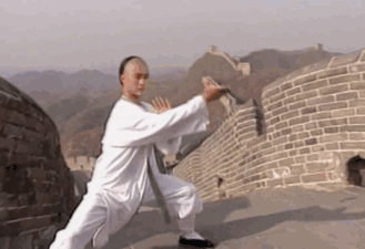 太极宗师24年：吴京已成叔圈顶流，拒绝他的樊亦敏却泯然众人矣