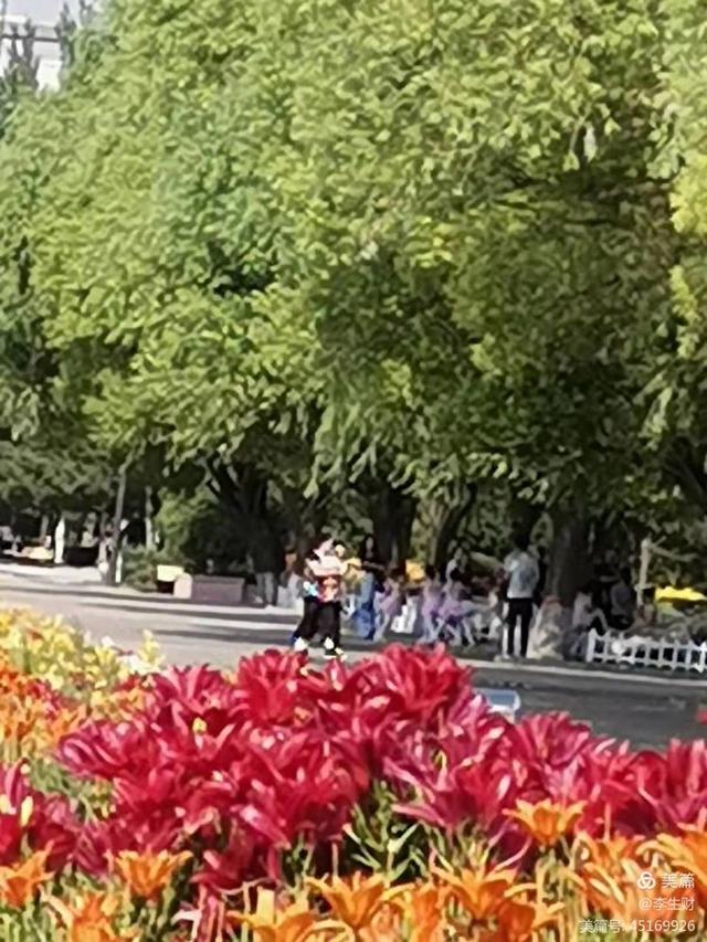 走进紫晨广场：文/李生财，图/郭翠枝