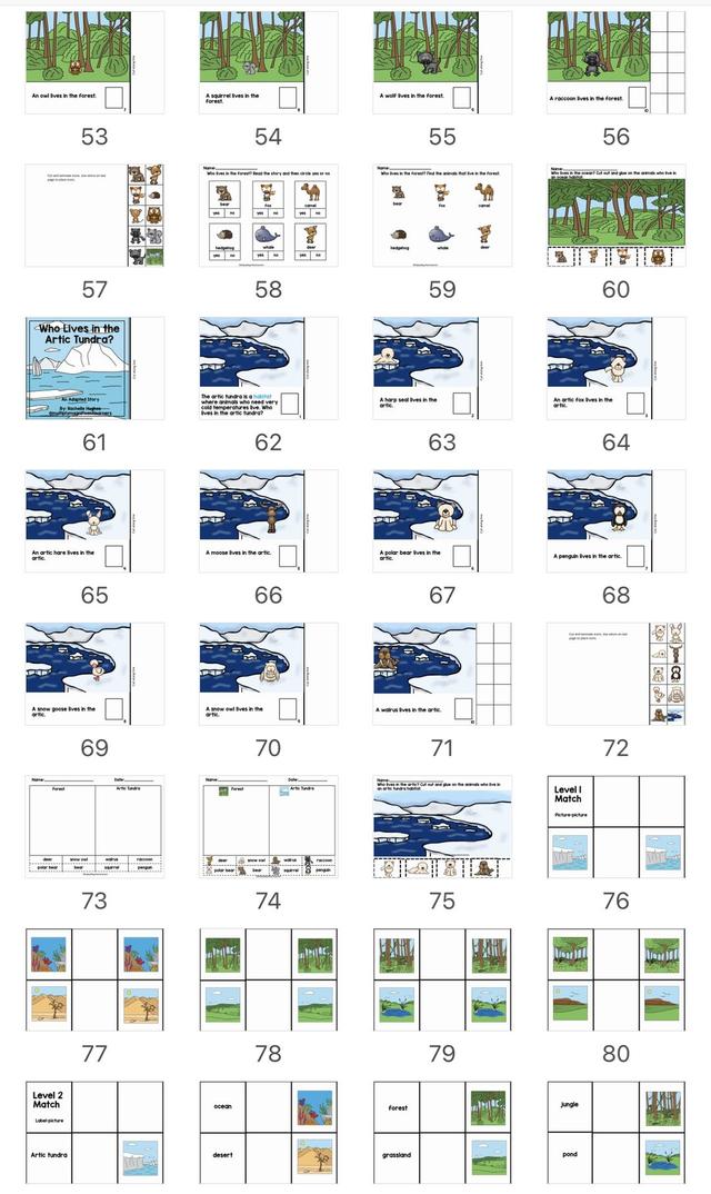 动物栖息地安静书全套
