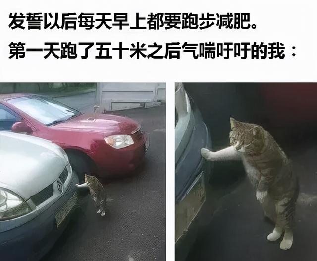 为什么你那么努力，还是瘦不下来……