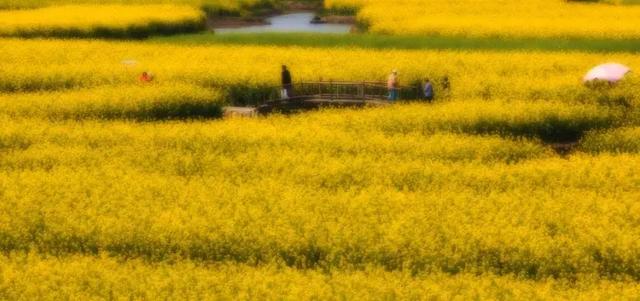 清明假期去哪玩:清明小长假安排上了，这些地方是热门