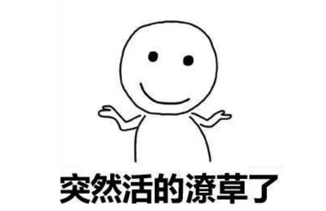 程序员的水平能有多低？