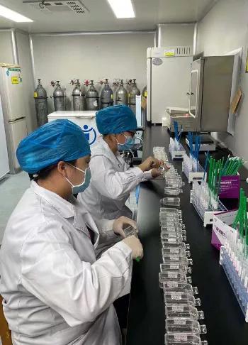 来看看羊水细胞的“奇妙之旅”吧