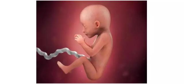 如何推算预产期？