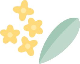 「聚焦户外」快乐的户外活动