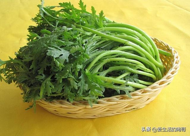 霜降到，吃3菜，饮2水，食1肉，做1事，顺应时节，安稳进入寒冬季