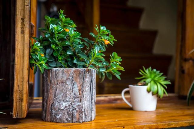 准妈妈若近视，要如何保护孩子视力？