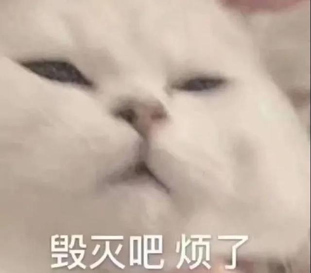 动辄大几百万！为何互联网大厂都热衷于换logo？