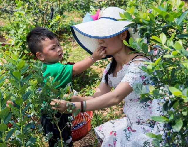 有些食物，能够迅速提升人的免疫力，抵御普通感冒和流行感冒—上