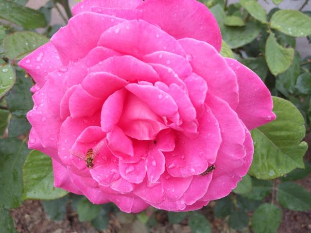 老年人秋季《四注意》，有利于身体健康