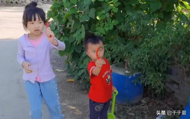 在孩子的心里种下爱，才能长出勇敢