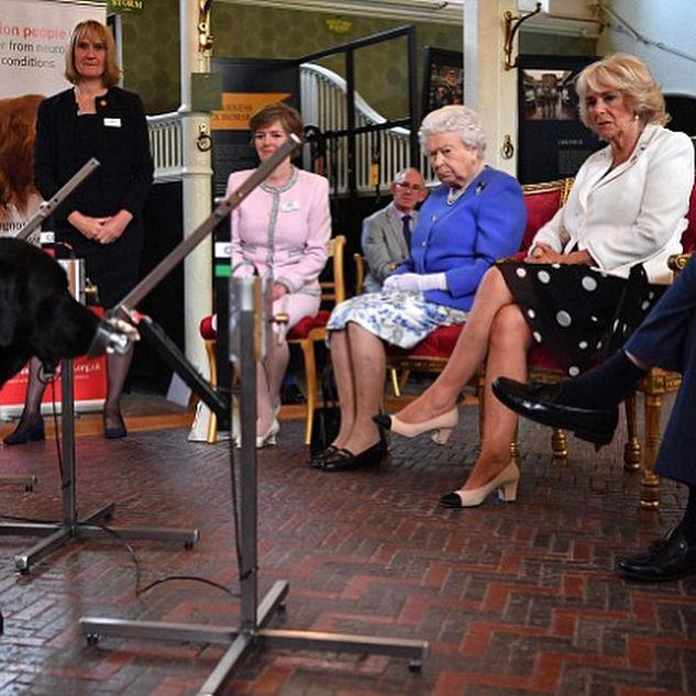 戴安娜卡米拉和查尔斯的故事（查尔斯双标）