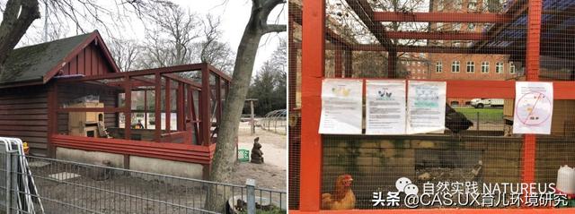 CAS 文旅｜孩子们原来喜欢这样的游乐场