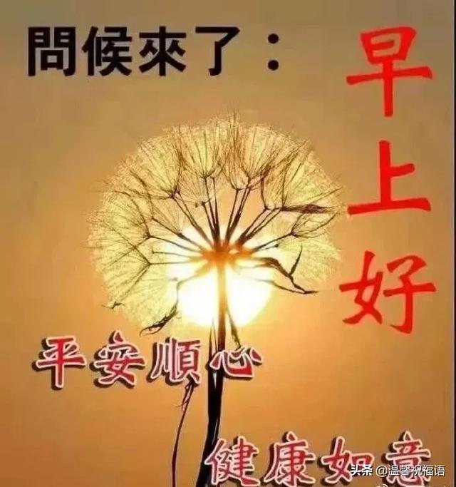 清早精辟简短的早安问候语大全，最美的早上好祝福表情图片