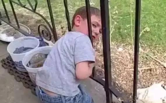 熊孩子的头，无所不卡