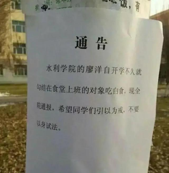 我这油耗，全网最低，吊打全网所有车，不服来上图，美系车还是牛